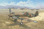 "Alone Above Baoshan"-Roy Grinnell-P-40 Flying Tigers Ace Charlie Bond Art